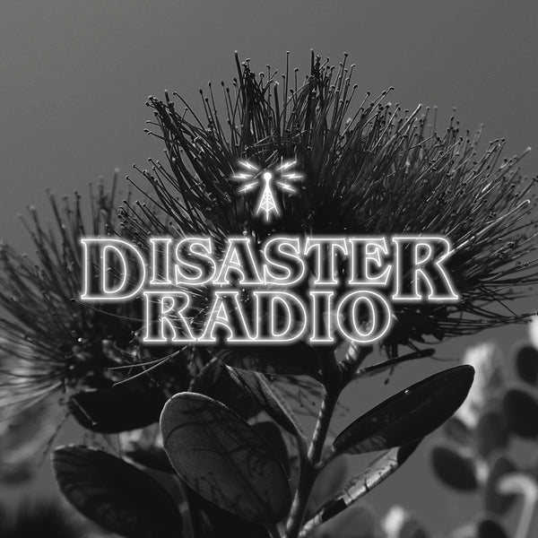 Disaster Radio | Kiwi Summer
