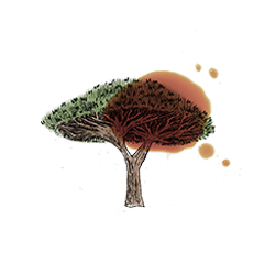 Dragons Blood Watercolor Illustration